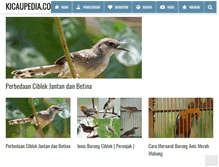 Tablet Screenshot of kicaupedia.com